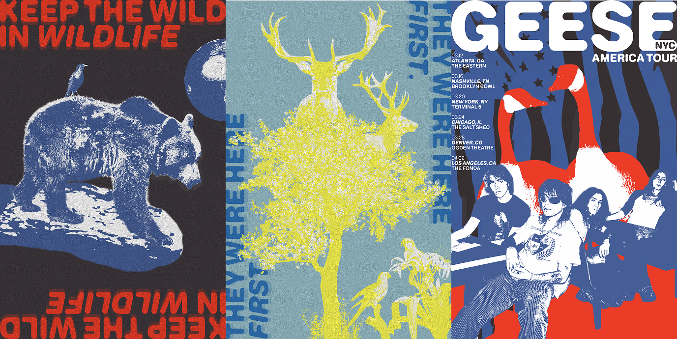 Keep the Wild in Wildlife poster series